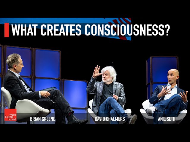 What Creates Consciousness? | World Science Festival