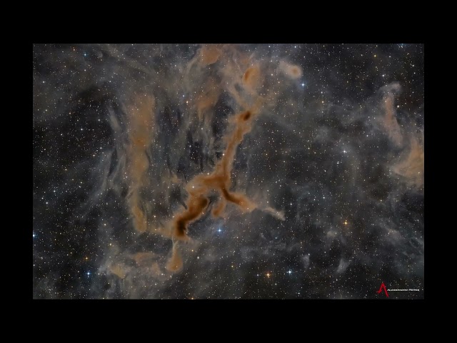 2026 September 10 - LDN 1295: The Giraffe Nebula