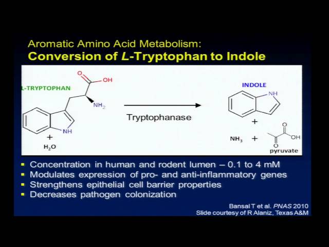 Gut Microbial Metabolism and Food Constituents - Johanna Lampe