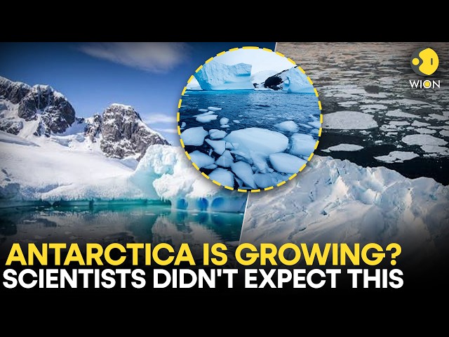 The Antarctic Paradox: Ice Grew By 700 Billion Tons — But Scientists Say It's Actually A Warning