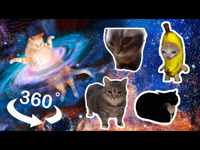 MEME Kittens CHASING YOU and DESTROYING YOUR HOUSE - 360° VR video