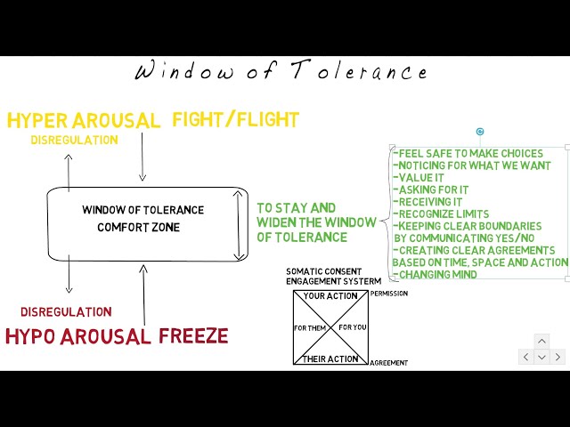 Window of tolerance map