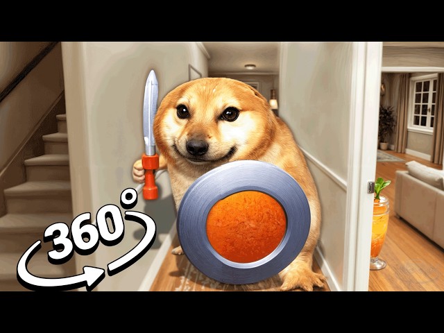 360° What The Dog Doin?  Breaks Into Your House | VR / 4K