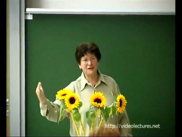 Evolution in Four Dimensions