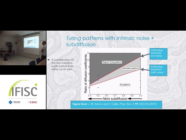 Noise, delay and synchronisation in developmental pattern formation