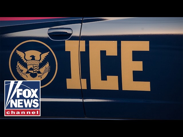 Anti-ICE protests ORGANIZED by far-left groups: report