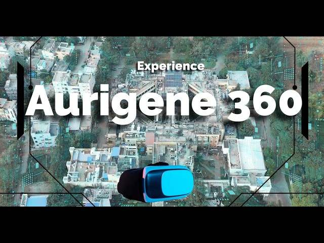 Carbohydrate Development, scale-up and Manufacturing | Aurigene Services