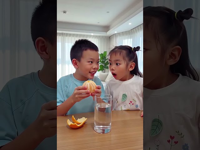 Sink or Float: Fun Science Experiment for Kids