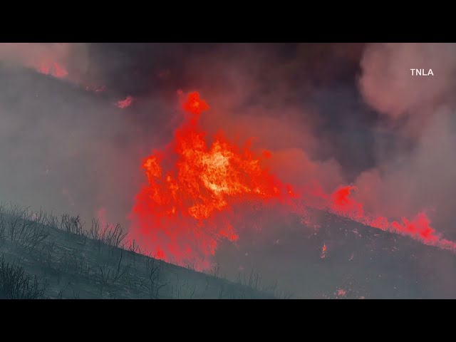 Bouquet Wildfire Burns 1000+ Acres - Angeles National Forest
