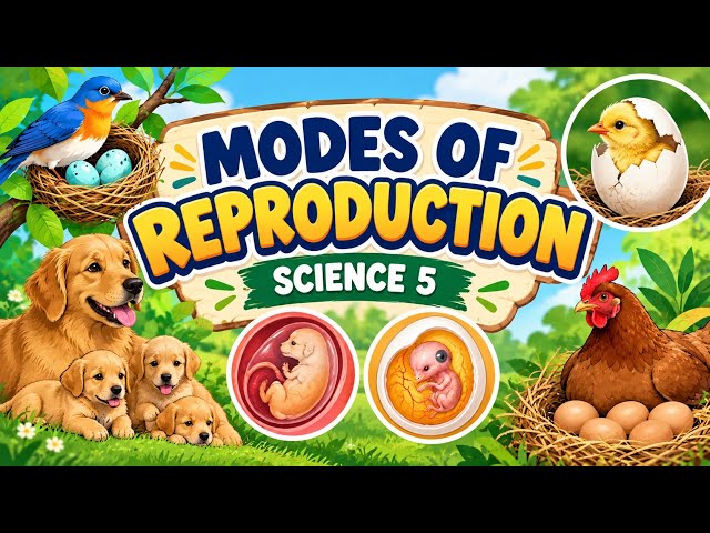 Science 5 Term 2 Week 4-Modes of Reproduction