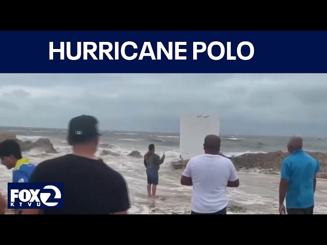 Hurricane Polo to make landfall in Mexico | KTVU