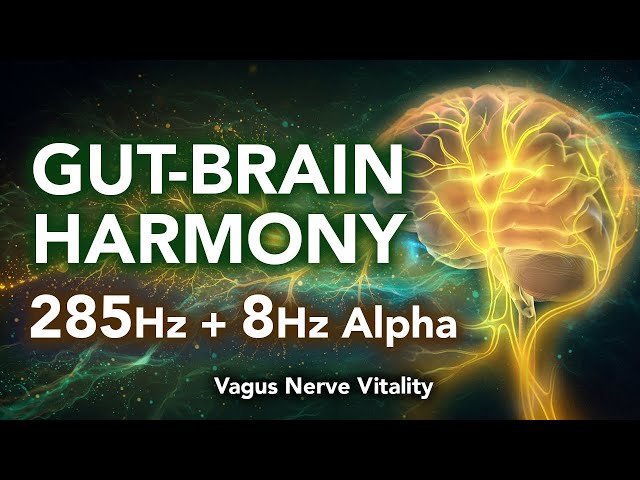 Gut-Brain Harmony: 285 Hz + 8 Hz Alpha | Vagus Nerve & Digestive Healing Music for Enteric Reset