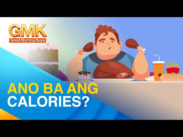 CALORIES: All You Need to Know | Now You Know