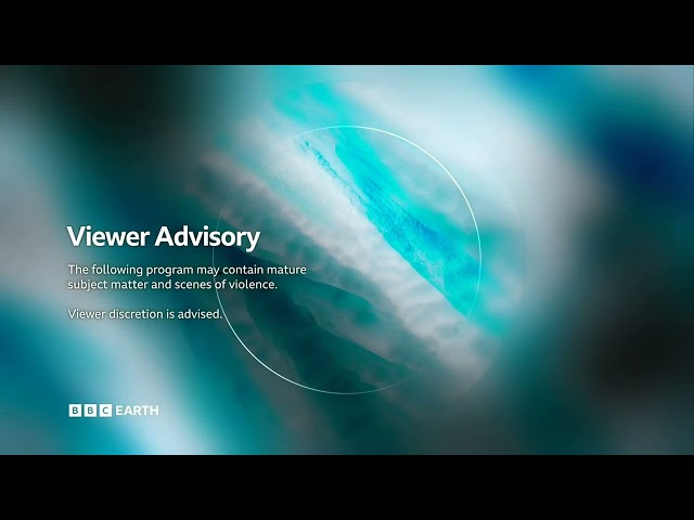 BBC Earth Canada - Mature subject matter and scenes of violence Advisory