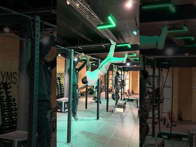 multiplayer calisthenics (teddybankz)