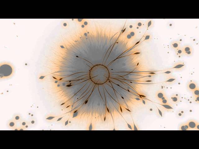 Dmitry Evgrafov - Flutter