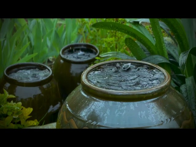Soothing rain sounds on the clay jars with distant thunder. ⛈️Great for relaxing and deep sleep.