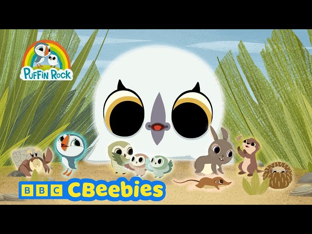 21 mins of fun with Oona, Baba & Friends! | Puffin Rock | CBeebies