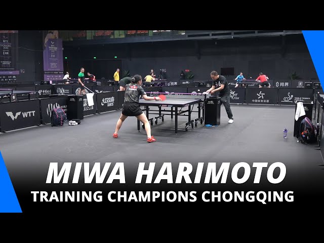 Miwa Harimoto training | Champions Chongqing 2025