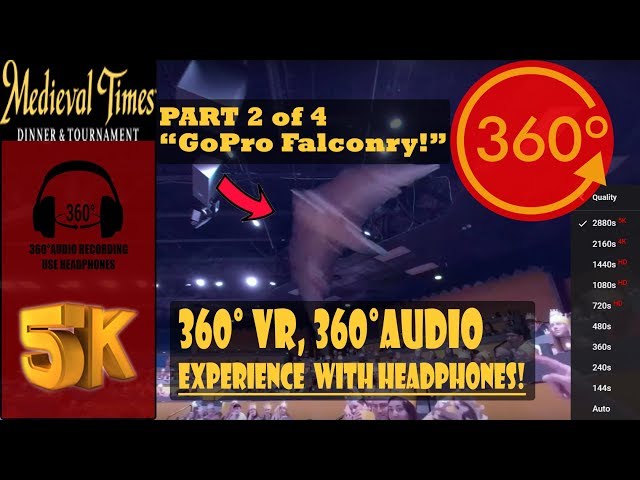 Medieval Times Part 2 Reaction Vlog, GoPro Falconry! - Myrtle Beach, SC [5K 360° Vlog, 360° Audio]