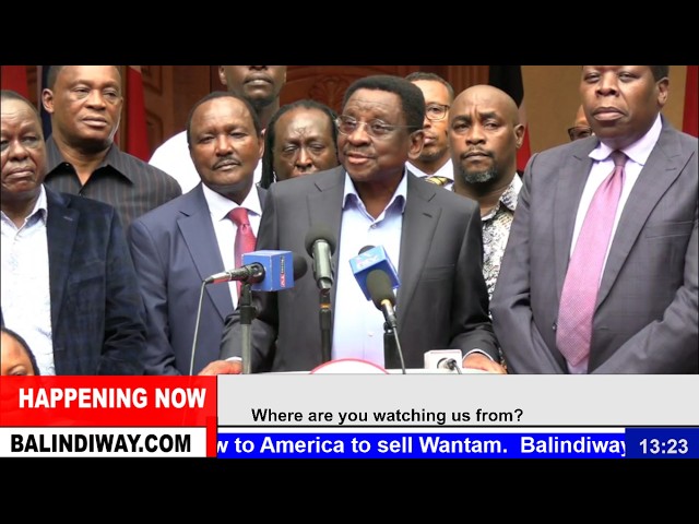 LIVE: Kalonzo Musyoka, James Orengo and other Azimio leaders addressing The Nation Now!