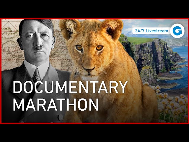 The Ultimate Documentary Stream | Nature, History & Science 🌎