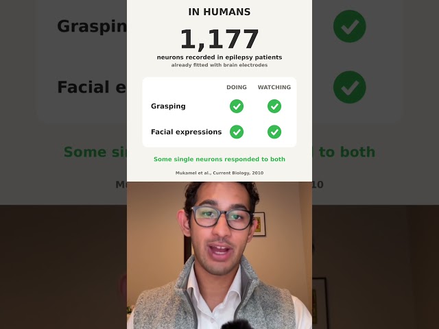 Mirror Neurons and Empathy: What the Science Actually Says