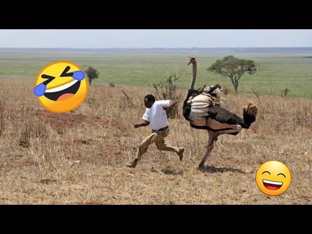 TRY NOT TO LAUGH 😆 Best Funny Videos | Fails Compilation 😂😁😆 Memes Of 2026 EP 02