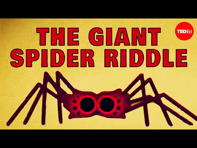 Can you solve the giant spider riddle? - Dan Finkel