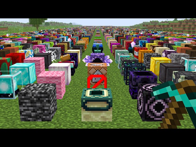 I Collected EVERY Block In Minecraft