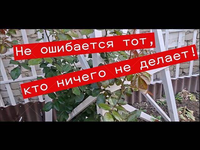 Ошибка в покраске будет исправлена весной Что сделала за 2 дня ? #Своимируками #ЕленаСитникова