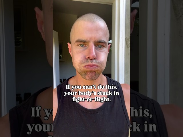 How to get out of fight or flight