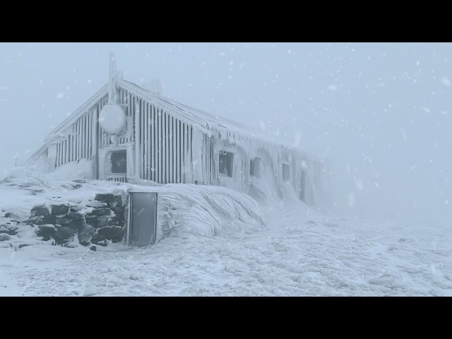 Chilling Winter Snowstorm Soundscape | Howling Winds & Blizzard Ambience for sleep | White Noise 🌬️