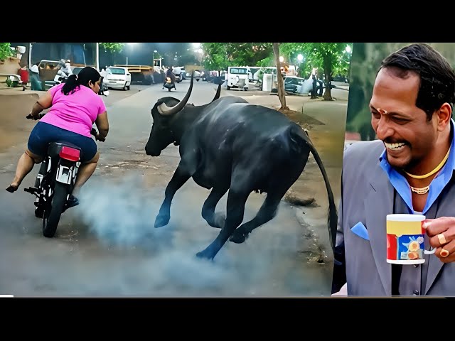 Crazy Funniest Videos 2026 🤣 Try Not To Laugh Challenge😂 Top 100 Funniest Video 🤪 must watch part 24