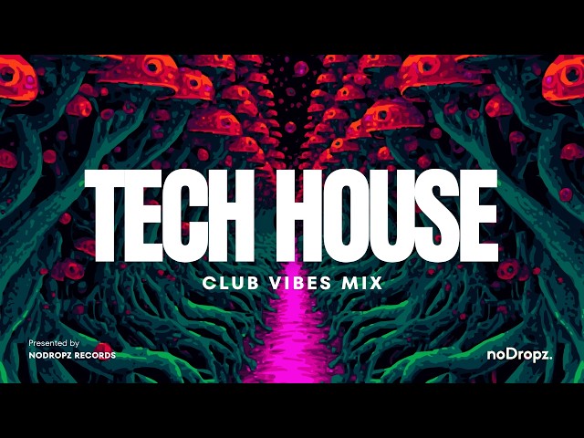 Minimal House Mix | NoDropz Express #002