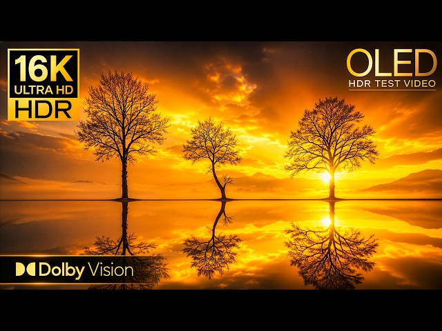 Most Breathtaking 16K Video ULTRA HD | Dolby Vision 120FPS OLED DEMO (8K/4K TV Test)