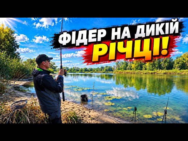 Feeder fishing on a wild river! Where the fish are and what they're biting on now! Autumn crucian...