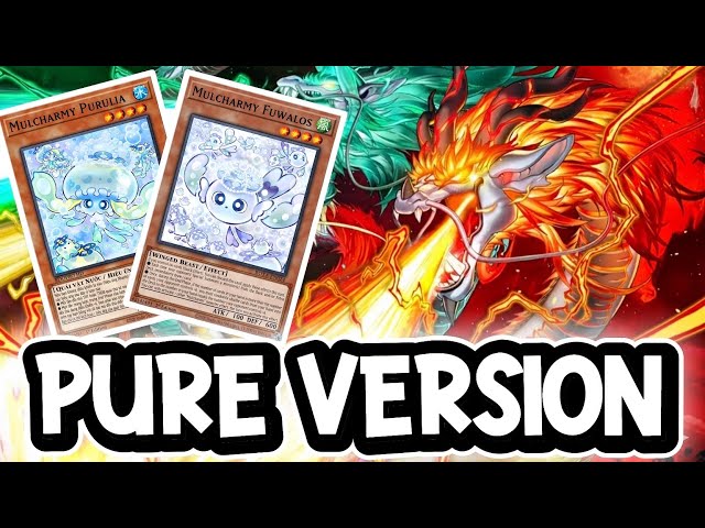 PURE VERSION TENPAI OTK Deck, GREAT DRAW POWER with MULCHARMIES & MAXX”C” vs the Meta [Master Duel]