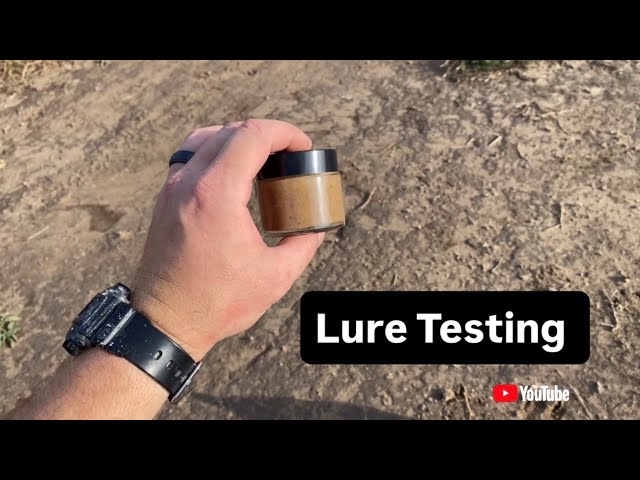 Testing a Couple Lures For This Season 