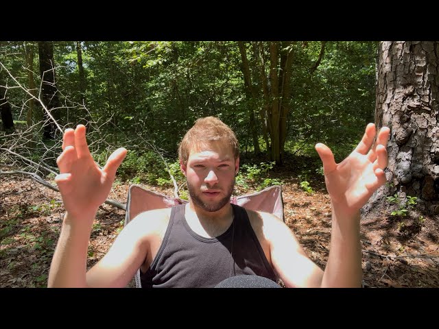 A video of nothingness within the stillness of the forest...