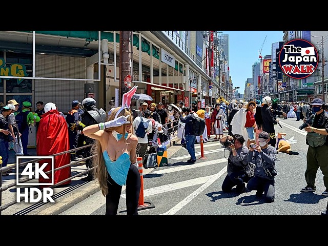 Nipponbashi Street Festa 2026 – One of Japan’s Biggest Cosplay Events | Osaka Walk | 4K HDR