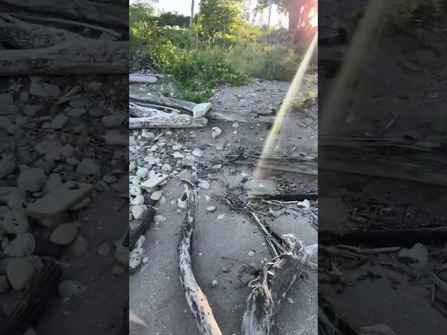 Walking A Beach On The Lake Michigan Shore In Wisconsin June 12th 2026 - Pretty Rocks And Driftwood