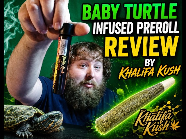 Why Is Nobody Talking About THIS Khalifa Kush Preroll?