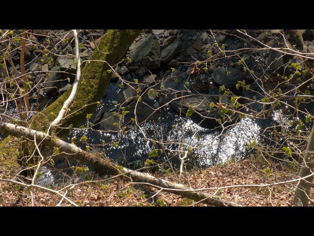 Brecon Beacons: XT4 Flog-HDR 18-55 Lens, Reinhard Intense Lut