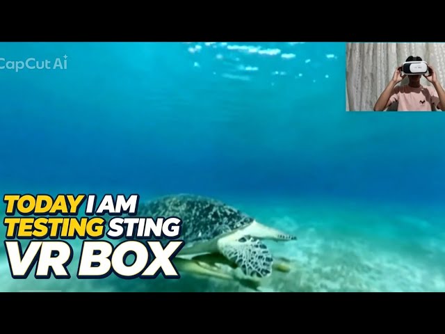I Tested a VR Box Underwater! 😱🐢 | My First VR Experience
