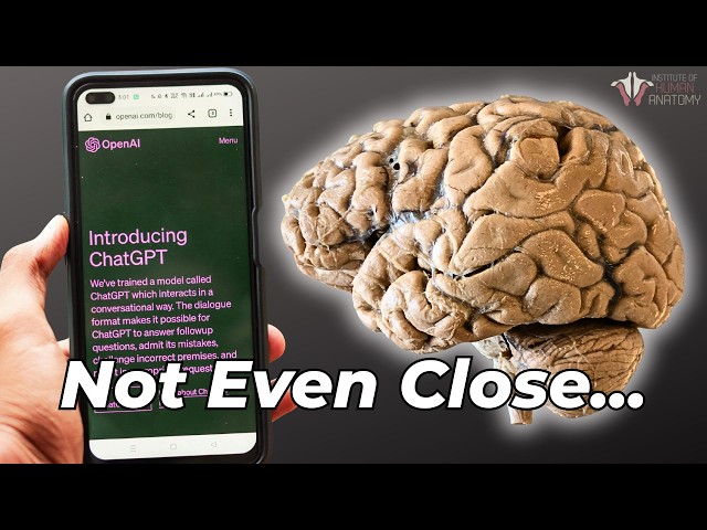 Your Brain Uses 20 Watts. AI Needs Entire Data Centers.