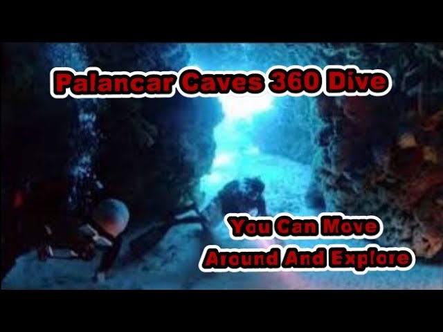 Come Dive With Us Palancar Caves 360 Video {[You Can Look Around]}
