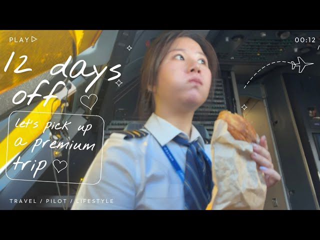 airline pilot trying to make extra $$$ vlog