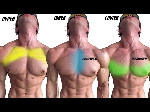 TOP 3 UPPER INNER LOWER CHEST WORKOUT AT GYM
