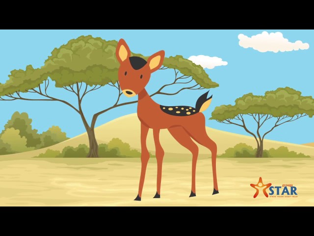 STAR Groups   Tension and Trauma Releasing Exercises TRE